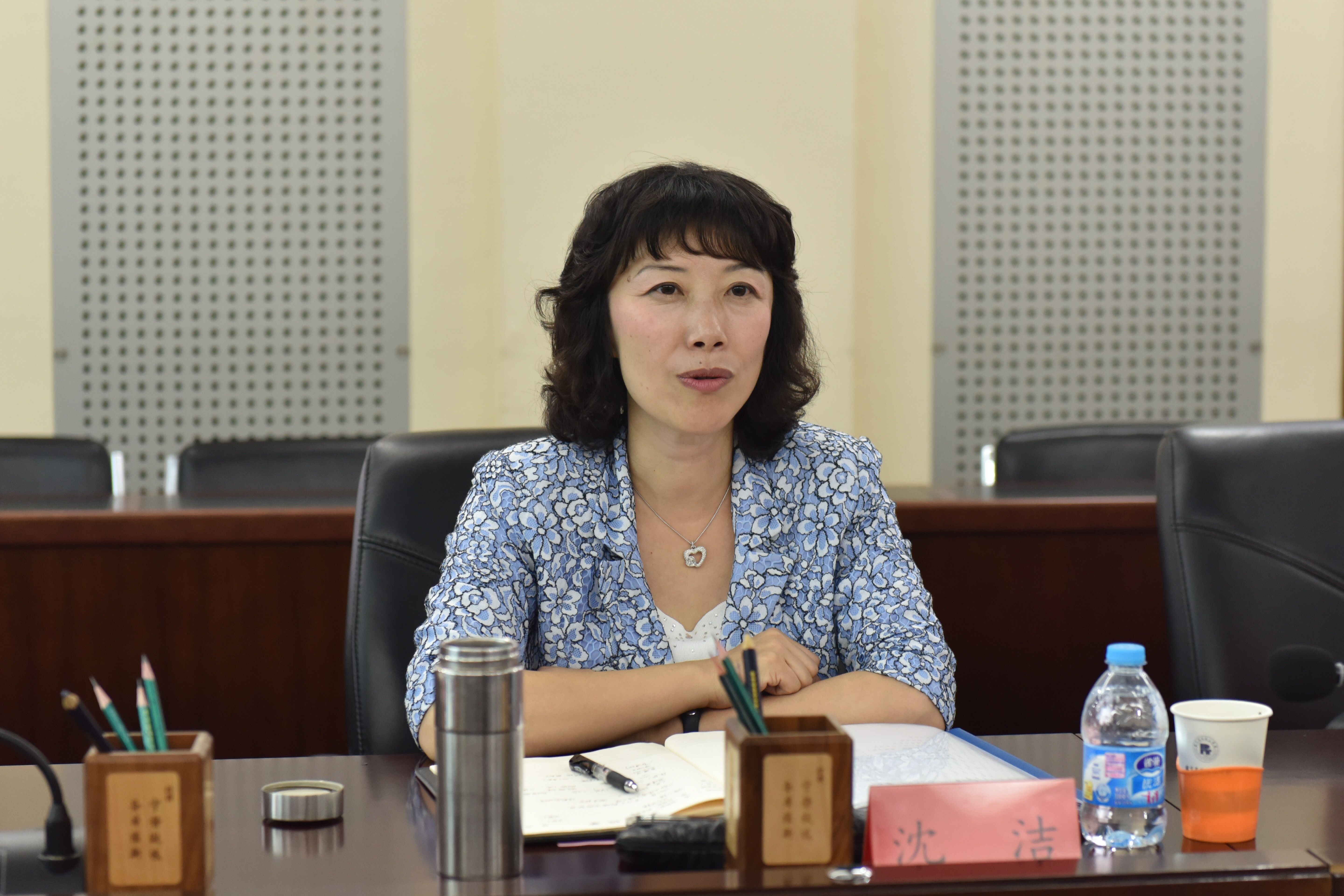 大兴区委常委,宣传部部长,统战部部长沈洁来校调研