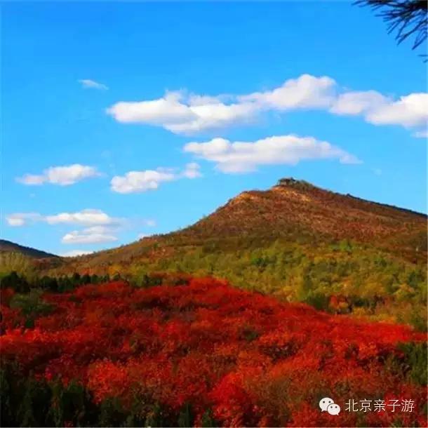 金秋十月，北京周边赏秋必去的景点！