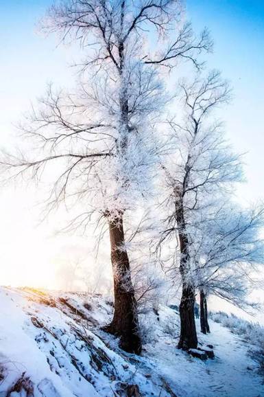 http://mmbiz.qpic.cn/mmbiz_jpg/D8pdwMollUa3Dqkic6TibMia18JGWlAp4vpJlbWp6BYTurmdaicaNAyvz0z2cG3luWGw2hUxnicr3iaVwVeKVoYvKvKA/640?wx_fmt=jpeg
