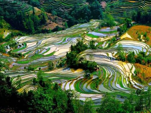 http://mmbiz.qpic.cn/mmbiz_jpg/D8pdwMollUa3Dqkic6TibMia18JGWlAp4vpaEGDwP0SR4fOKu70RCfRiajTKDrWibJ5UzjgTMKJj6qfClrd2w0LMLBA/640?wx_fmt=jpeg