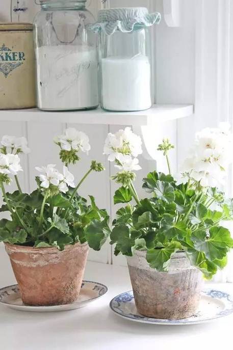 http://mmbiz.qpic.cn/mmbiz_jpg/Ij6vpz2MgqKlvz7mLS7kiajPnRlicia2h4w6r6ycasfjNmuxRIJTUwzghQ7egg6lKaRdibsgctUg18rLHVTCiabz2bQ/640?