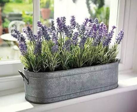http://mmbiz.qpic.cn/mmbiz_jpg/Ij6vpz2MgqKlvz7mLS7kiajPnRlicia2h4w6ro5yfMuzKEbNqtvYs61JRrx8Mag4zCBmwwBFDoDuibZgFQQu5Q1SEA/0?