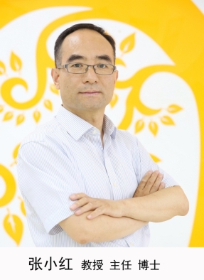 张小红
