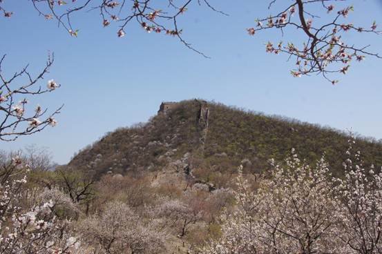 说明: http://info.bipt.edu.cn/publish/xnhxgcxy/images/content/2016-04/20160412081126301773.jpg