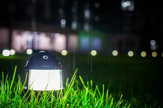 5绿草听风雨.jpg