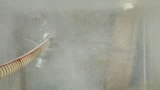 1-1.gif